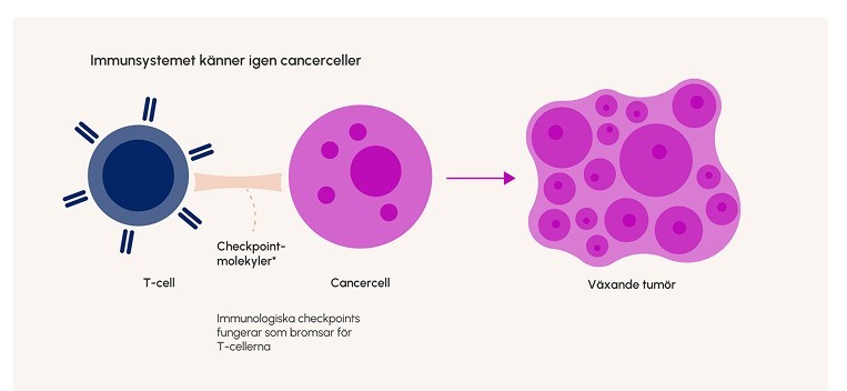Illustrationen visar checkpointmekanismen. Illustrationen visar checkpointmekanismen.