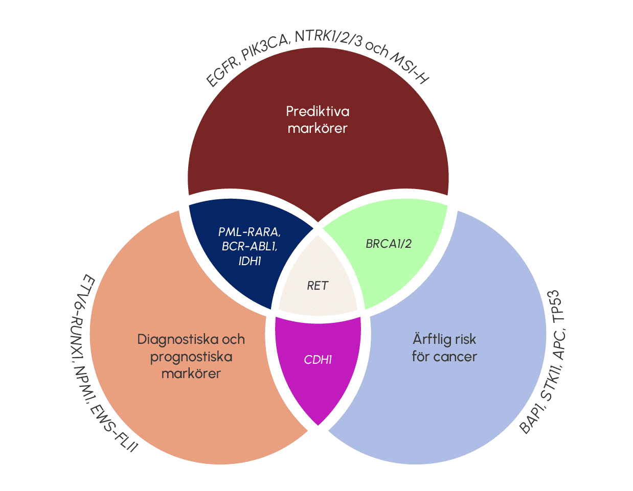 Illustration som visar molekylärpatologins uppdrag.