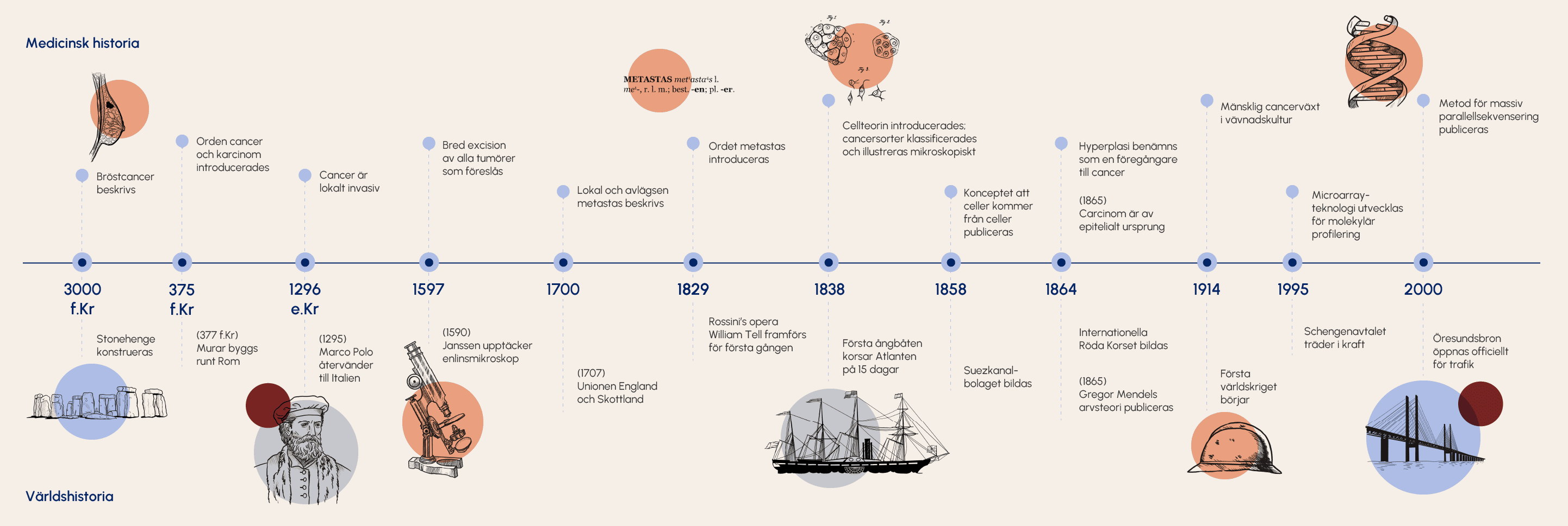 Illustration av en tidslinje som visar cancerforskningens historia. Illustration av en tidslinje som visar cancerforskningens historia.