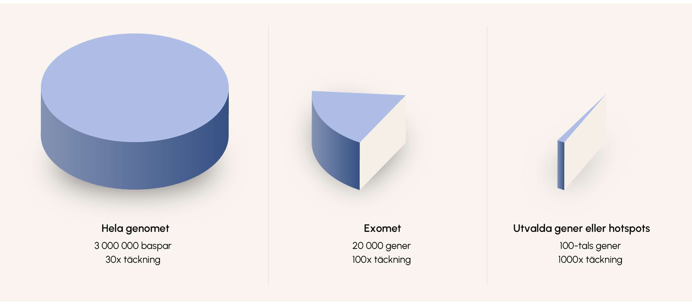 Illustration som visar skillnaden på genom, exom och hotspots. Illustration som visar skillnaden på genom, exom och hotspots.