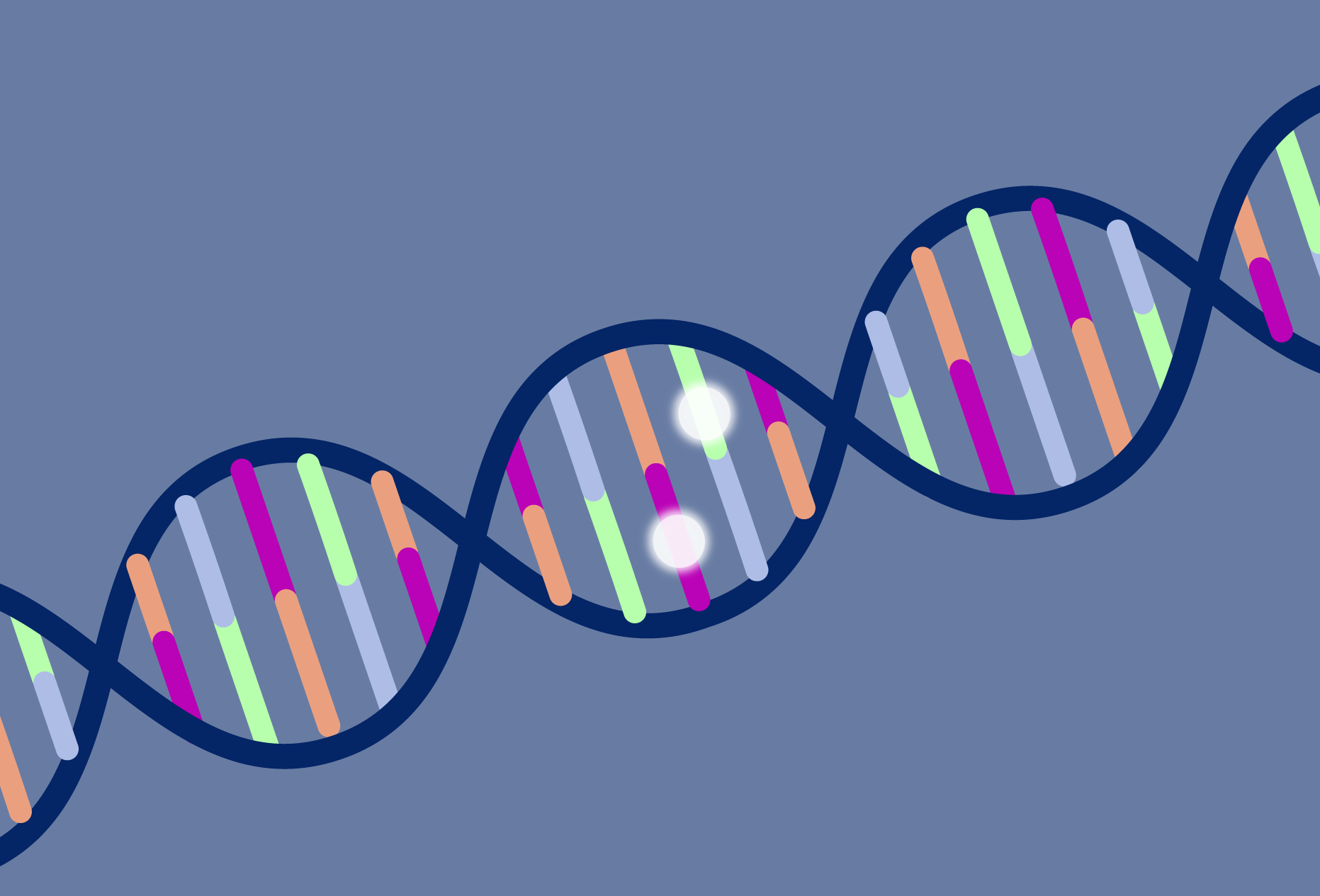 Illustrationen visar en DNA molekyl med två metylerade cytosiner.