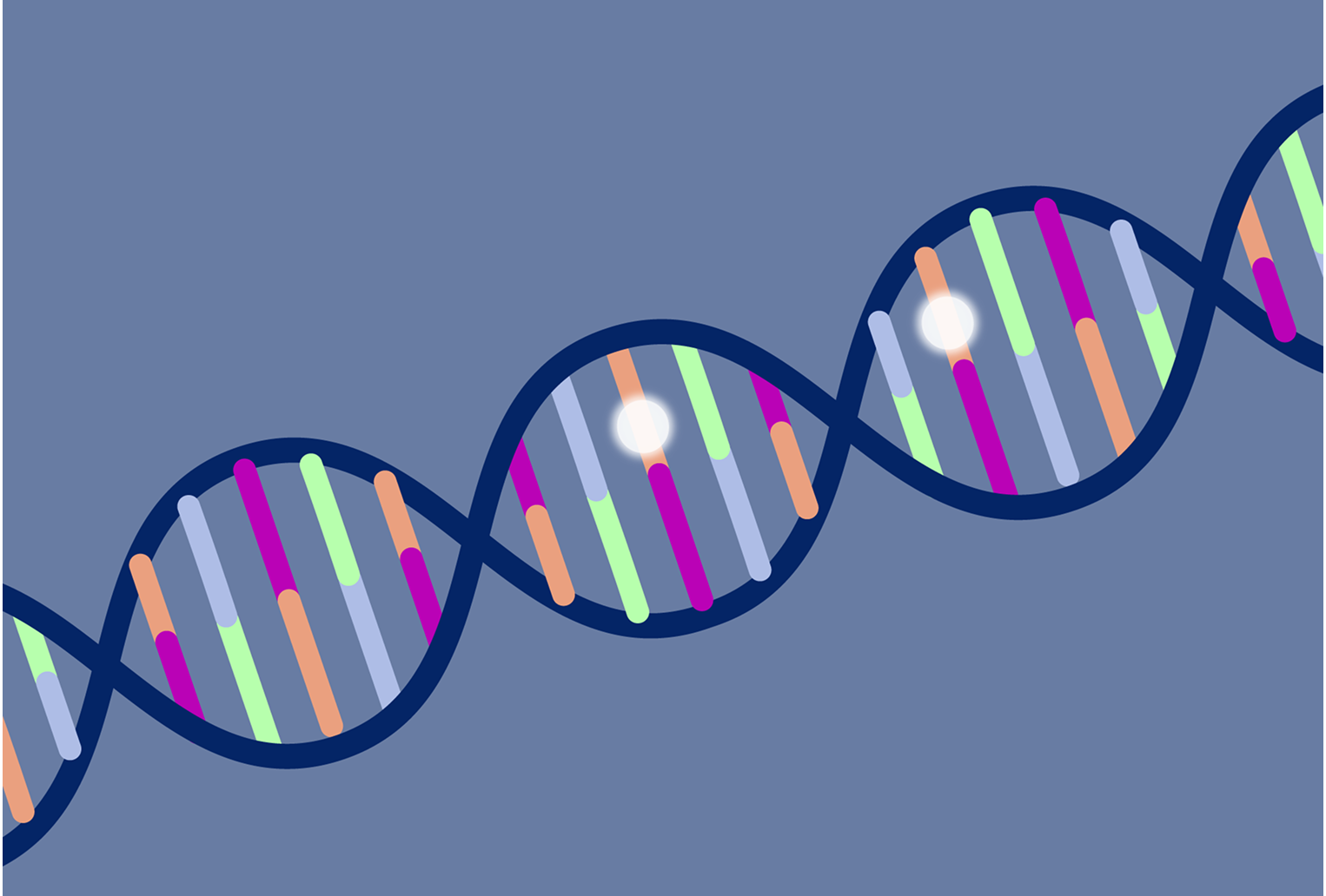 Illustrationen visar en DNA molekyl med två metylerade cytosiner. Illustrationen visar en DNA molekyl med två metylerade cytosiner.